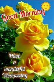 71 wonderful good morning inspirational pictures. Happy Wonderful Wednesday Good Morning Good Morning Nature Facebook