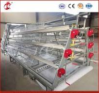 Mejor jaula de gallinas, un tipo de gallinero para criadores, proveedor de  jaulas de pollitos de dos pisos en China, OEM personalizado, certificados  ISO y Soncap, jaula de almacenamiento para pollitas