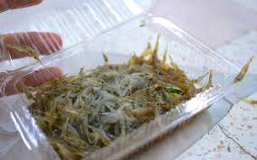 これがホンマのタイ版エビの踊り食いや！！『クンテン』 | 街かどタイ料理 -トムヤムBlog-