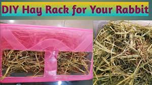 Finally the millions of noodle boxes we have laying around come in handy! Diy Hay Rack For Rabbits Easy Rabbit Feeder