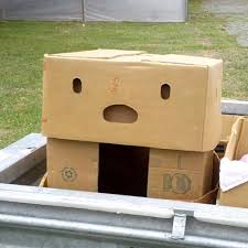 Risultato immagini per pareidolia per bambini