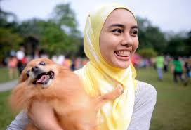 Dog & puppy health general dog health and care nutrition and diet puppies and dog progression canine hip dysplasia vaccination skin conditions and euthanize or relinquish ? Want To Touch A Dog In Malaysia It S A Delicate Subject The New York Times