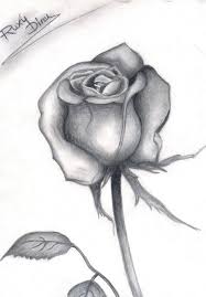 This was uploaded to my old account ~spiritwollf but i decided to upload it here as well, since it's more what i've been drawing lately. Desene In Creion Cu Animale Simple CÄƒutare Google Beautiful Pencil Drawings Flower Drawing Design Art Drawings Sketches Simple