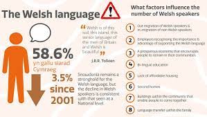 Dydd miwsig cymru, or welsh language music day takes place on 8. Eryri Snowdonia