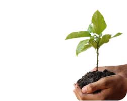 Image result for Spring Green 1977 Kelvinator