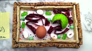 We did not find results for: Science News Articles How To Create 3d Plant Cell Animal Cell Models For Science Class