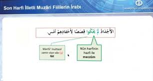 Son Harfi Illetli Olan Muzari Fiilin Ornek Cumlesi 2 Sinif Araba