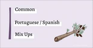30 Portuguese Phrases To Know Everyday Brazilian Slang