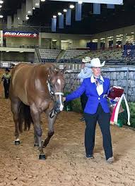 Performance Halter Wins at 2017 Select World Go To Vickie Strickland, Sally  Sullivan, and Peggy Migliori