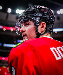 Chicago Blackhawks top fans