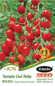 Cocok untuk yang hobi berkebun cara pembenihan di sertakan dalam paket. K76 Ruby Cherry Tomato Jc Garden Vegetable Seed Biji Benih Tomato Ceri Ruby Lazada