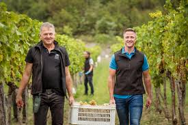 14:49, thu, aug 13, 2020 Ralf Schumacher I M Nothing But Impressed About Slovenia Slovenia Si