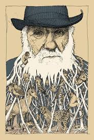 Darwin By Barry Bruner Illustration From United States Beard Art Illustration Character Illustration
