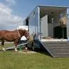 All trailers horse trailers bumper pull horse trailers gooseneck horse trailers. 1
