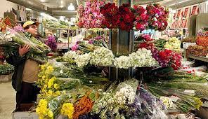 View weekly ad specials, refill prescriptions, find new recipe ideas, print grocery coupons & order online. Price Chopper Brings Back Build A Bouquet For Mother S Day