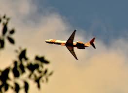 9 hours ago · markleeville (cbs sf) — a determined band of firefighters battled the advancing flames of the raging tamarack fire early sunday, keeping the blaze for entering the heart of the evacuated sierra community of markleeville as the wildfire exploded in growth to more than 21,000 acres. Y9gkjbz7blxamm
