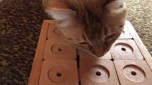 Cat sudoku roll and write game for 1 to 6 players. The Cat Brain Game Puzzle For Tripawds And Quadpawds