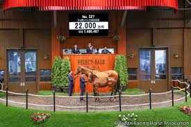 東スポ競馬 - News update