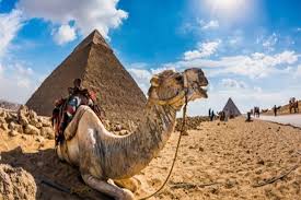 We offer a wide selection of egypt day tours, nile our tour guide will transfer you by a modern air conditioned vehicle to giza pyramids area where you will find your camel or horse waits for you to. Spacetraveller Activity Day Tour To Egyptian Museum And