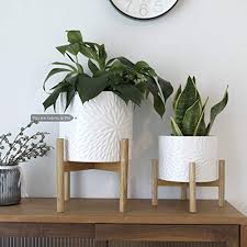 Explore a wide range of the best planter with stand on aliexpress to find one that suits you! Large Ceramic Plant Pot With Wood Stand 10 Inch White Cylinder Floral Pattern Embossed Flower Pot Indoor With Wooden Planter Holder Pricepulse