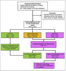 Noninvasive Evaluation For Nonalcoholic Fatty Liver Disease And Nonalcoholic Steatohepatitis Clinical Therapeutics
