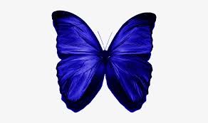 Vintage watercolor blue and purple butterfly isolated on a white background. Butterflies Clipart Dark Blue Purple And Green Butterflies Png Image Transparent Png Free Download On Seekpng