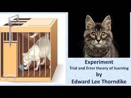 Maybe you would like to learn more about one of these? Trial And Error Theory Experiment Ii Cat Experiment Ii Puzzle Box By Thorndike Youtube