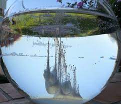 Dopo questo passaggio si deve inserire dentro con molta delicatezza un albume di un uovo. La Barca Di San Pietro Photos Facebook