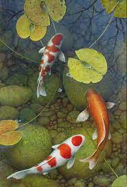 Here we discuss koi pond construction in some detail, using as an example, a formal stock pond recently constructed for our own business. Water Garden Archives Koi Fish Paintings By Terry Gilecki