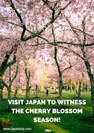 Pin On Experiences In Japan