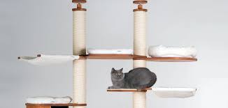 A cat tree, floor to ceiling iterations in particular, is also great for households with multiple cats. Floor To Ceiling Cat Tree Canada Off 73 Www Usushimd Com