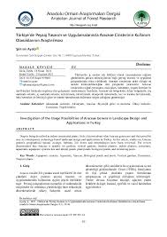 Image result for Stylochaeton borumensis