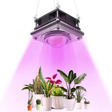 Check spelling or type a new query. Buy Led Grow Light Bermunavy Full Spectrum Grow Light 150w Cob Plant Grow Lights With Rear Fan Hooks Plant Growing Lamp With New Technology For Indoor Plants Seed Starting Greenhouse Online In Vietnam B07zvnml7v