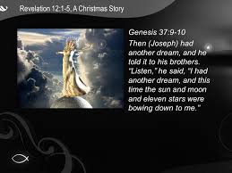 Image result for rev 12 my first two great Eagle rescue dreams