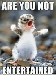 Are You Not Entertained Meme On Me Me
