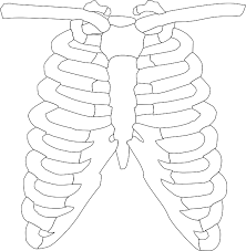 Pin On Eds