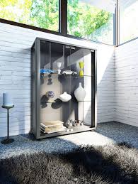 Wunderschone Virtrine Fur Sammlerschatze Wie Modellautos Figuren Zuge Kosmetik Kristalle Uhren Muscheln Etc Universell E Glastur Sicherheitsglas Vitrine