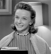 Television's New Frontier: The 1960s: July 2020