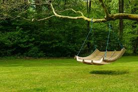 How to anchor a swing to a ceiling joist. 21 Best Tree Swing Ideas Images And Inspiration 2021 Own The Yard