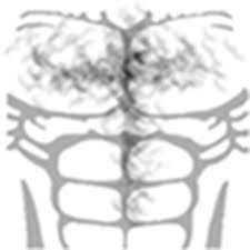 Chest Hair Png T Shirt Roblox Musculos Png Download Transparent Png Image T Shirt Png Hair Png Roblox