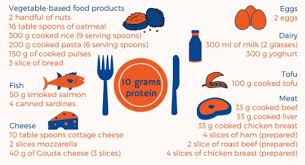 Serving.some seafood has a smaller count—like crabmeat, shrimp, and lobster—which provides 24 grams of protein per a 4 oz. Promiss