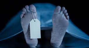 مشاهدة وتحميل مسلسل الدراما المصري لعبة نيوتن بطولة مني ذكي ومحمد ممدوح اون لاين hd لكن بجودة عالية 720p 1080p 480p bluray ; Ø§Ù„Ø£Ø®Ø¨Ø§Ø± ÙˆØ§Ù„Ø§Ø­Ø¯Ø§Ø« ÙˆØ§Ù„Ù…Ù‚Ø§Ù„Ø§Øª Ø§Ù„Ù…ØªØ¹Ù„Ù‚Ø© Ø¨Ù€ Ù„Ø¹Ø¨Ø© Ù†ÙŠÙˆØªÙ† Ø§Ù„Ø­Ù„Ù‚Ø© 20