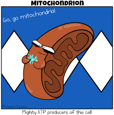 Moving cartoon animation of animals. Amoeba Sisters Gifs Science With The Amoeba Sisters