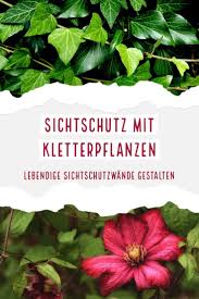 Pin Auf Ratgeber Zum Thema Garten Und Wohnen