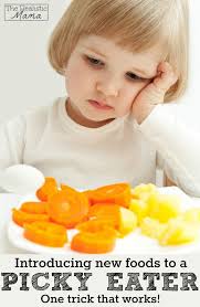 Introducing New Foods To Picky Eaters The Realistic Mama Toddler Eating Picky Toddler Picky Eating