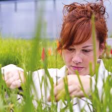 A DAY IN THE LIFE OF NOBLE