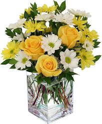 Best flowers for hospital patients you wanna to brighten up hospital patients and want to make someone feel special. Hospitals In Dubai That Allow Flower Delivery To Patients
