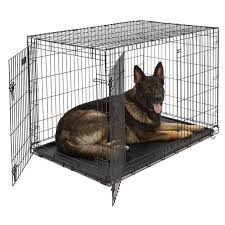 Using games with the crate is especially helpful since many dogs aren't initially happy with being confined. Midwest Double Door Icrate Metal Dog Crate 48 Walmart Com Walmart Com