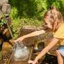 Court Battle Over Water Rights in Hunsrück-Hochwald National Park Puts Mineral Springs Under Scrutiny