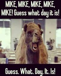Workers identify with calling wednesday hump day.. Guess What Day It Is